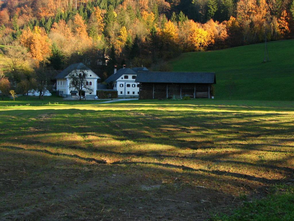 Apartments Cvetje V Jeseni Skofja Loka Luaran gambar